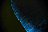 DSC07362.jpg