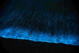 DSC07330.jpg