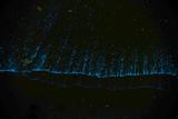 DSC07356.jpg