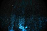 DSC07365.jpg