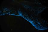DSC07497.jpg