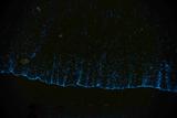 DSC07355.jpg